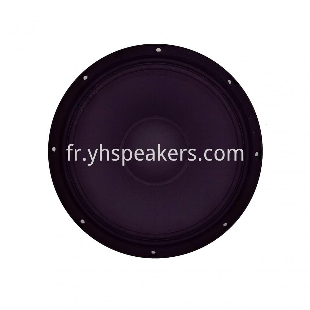 Hot Sale 12" Professional Audio Video Neodymium Speaker